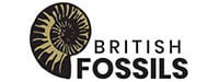 British Fossils