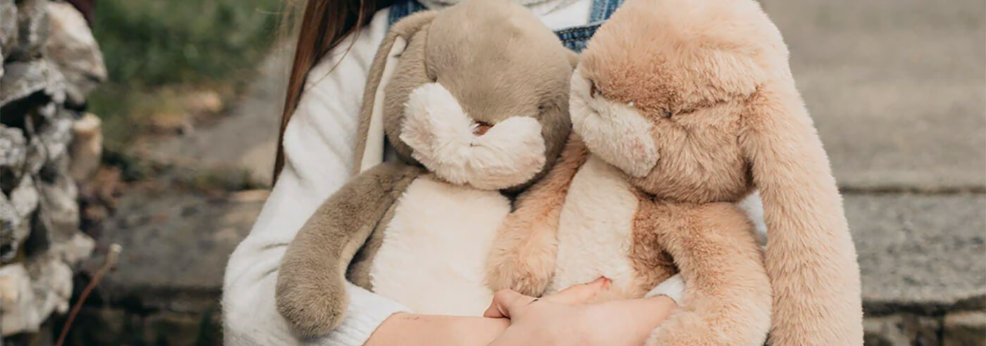 Soft or Stuffed Toys
