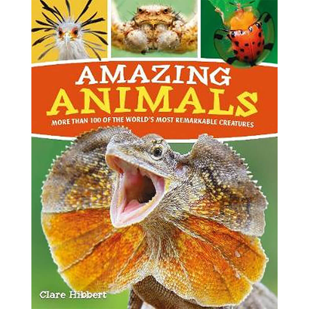 Amazing Animals Book