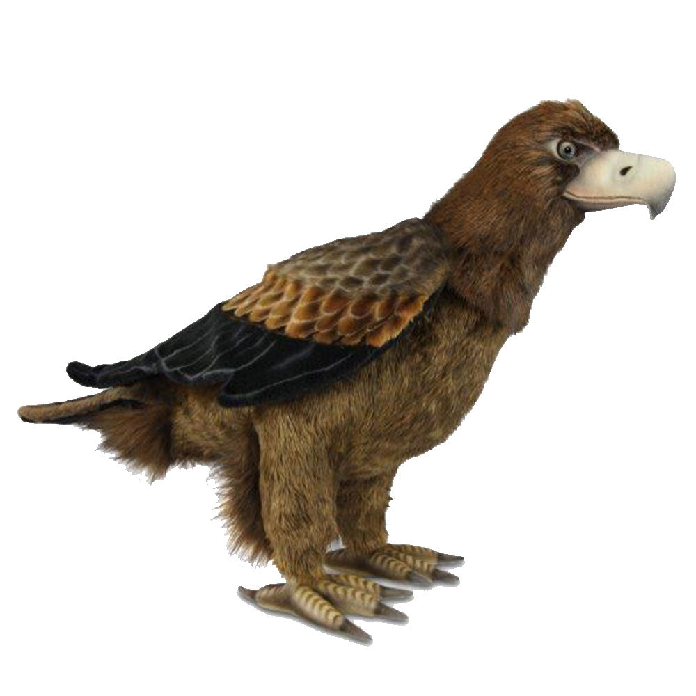 Wedge Tailed Eagle Plush Toy 63cm