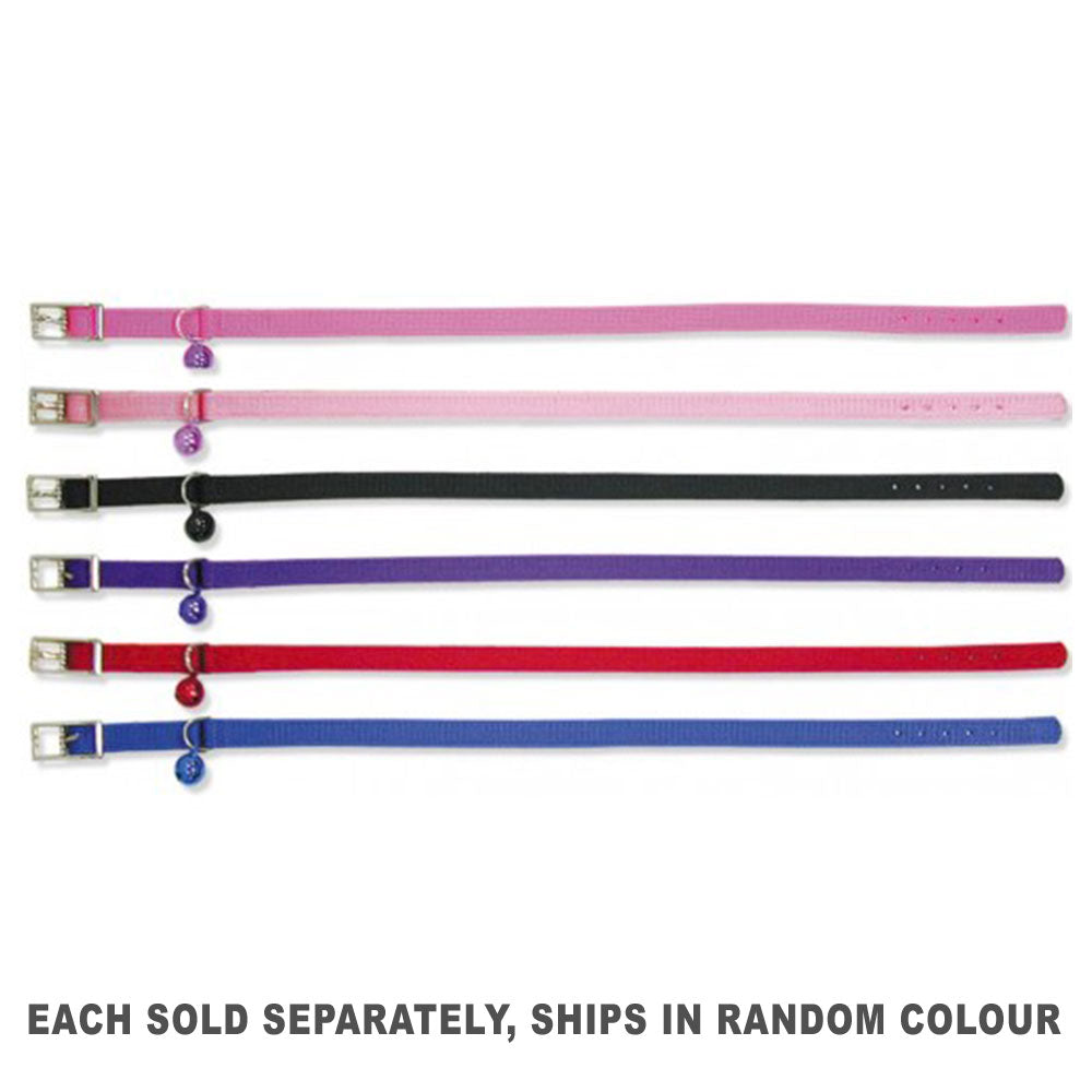 Coloured All Stretch Collar (1pc Random)