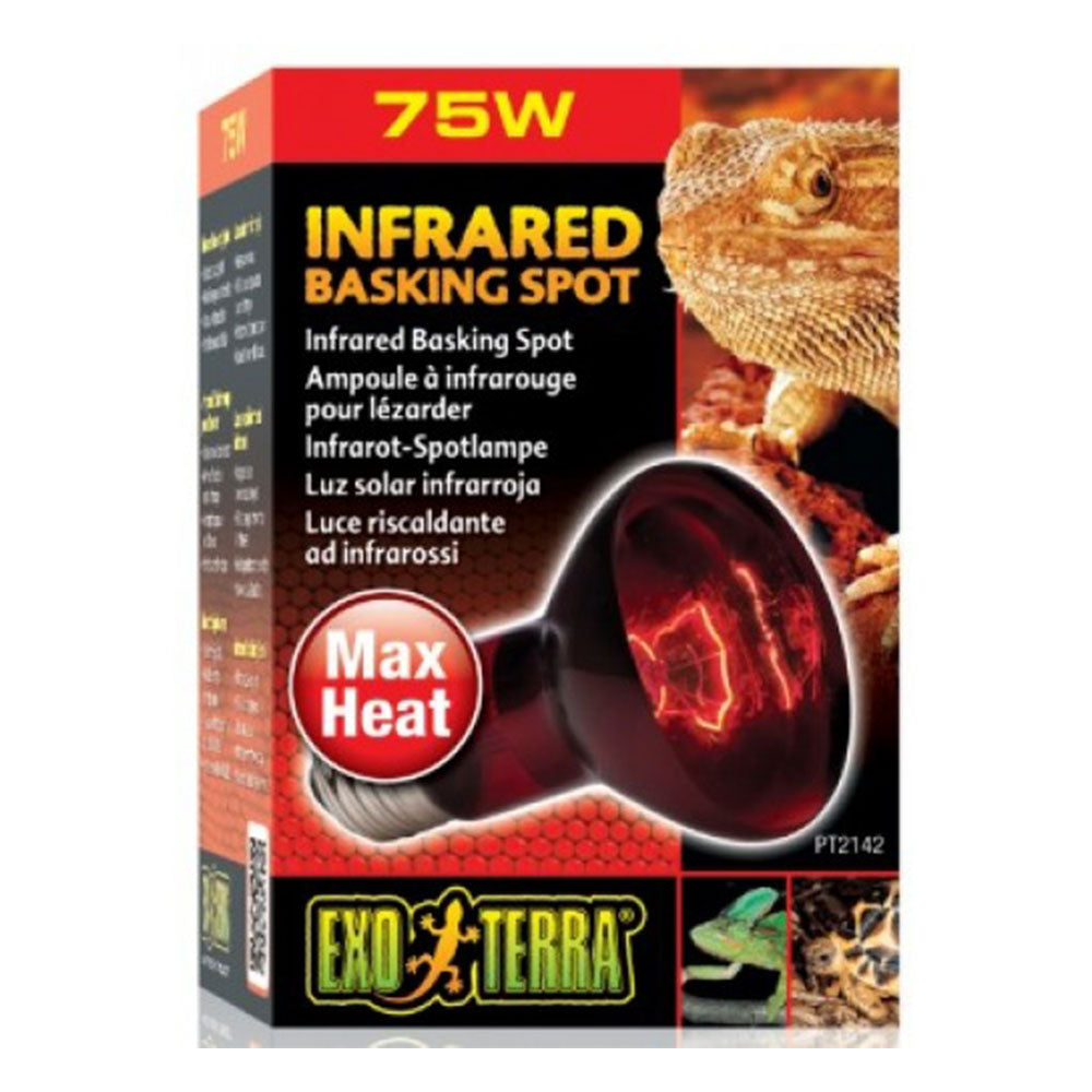 Exo Terra Infrared Heat Lamp
