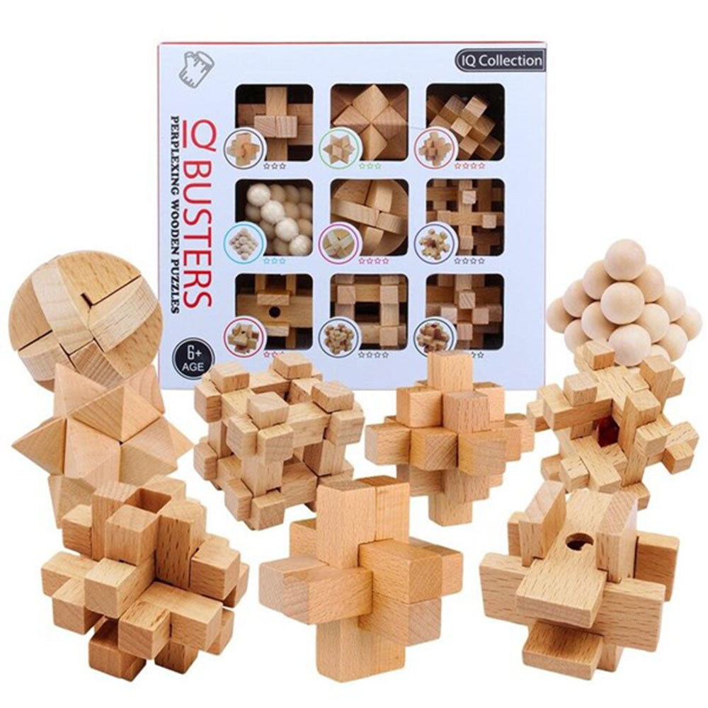 Enjoy IQ Busters 9-Pack Wooden Puzzle