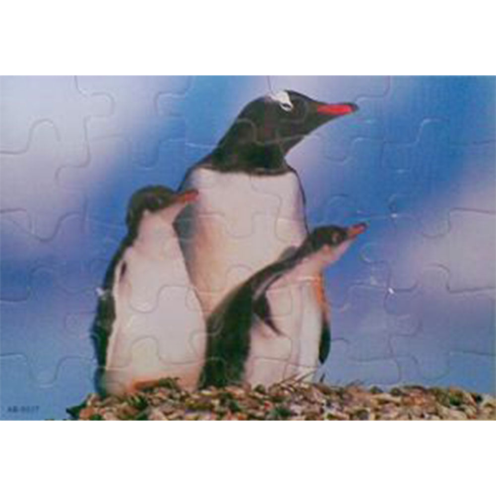 3D Wooden Penguin Painting Puzzle