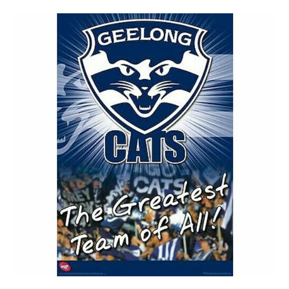 AFL Logo Poster