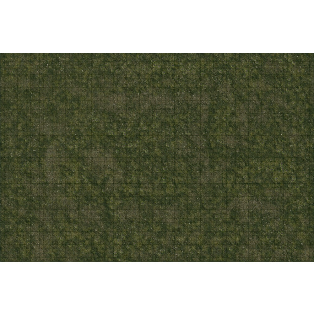 D&D Icons of the Realms Battle Mat