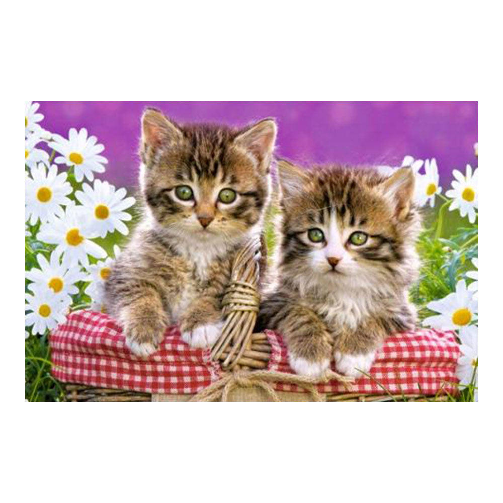 Castorland Kittens in a Basket Puzzle 70pcs
