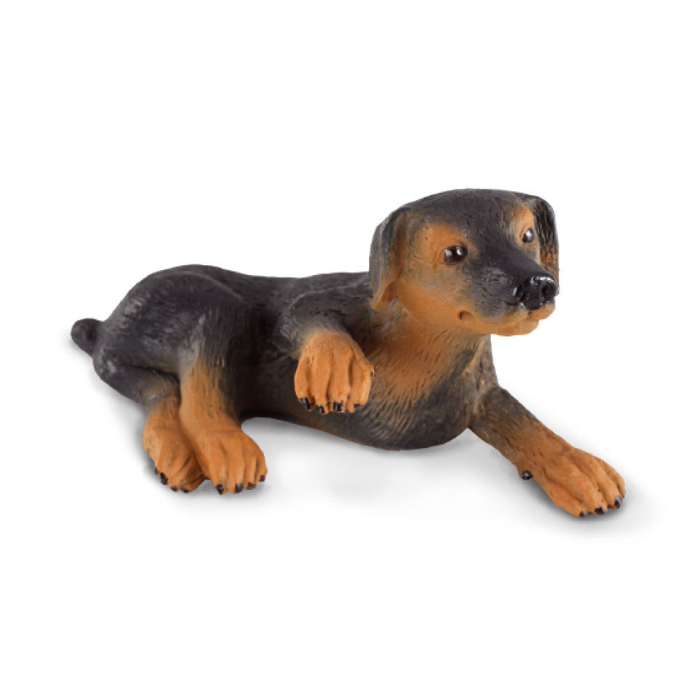 CollectA Doberman Pinscher Puppy Figure (Small)