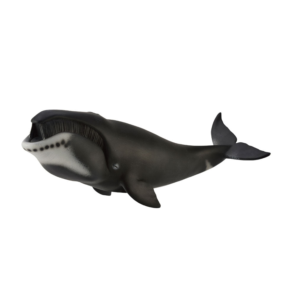 CollectA Bowhead Whale Figure (Extra Large)