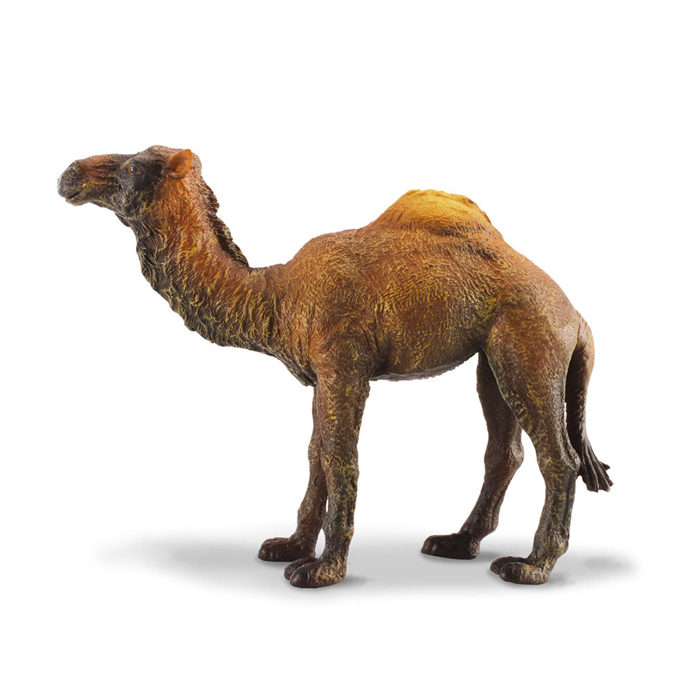 CollectA Dromedary Camel Figure (Large)