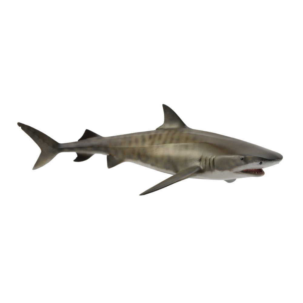CollectA Tiger Shark Figure (Large)