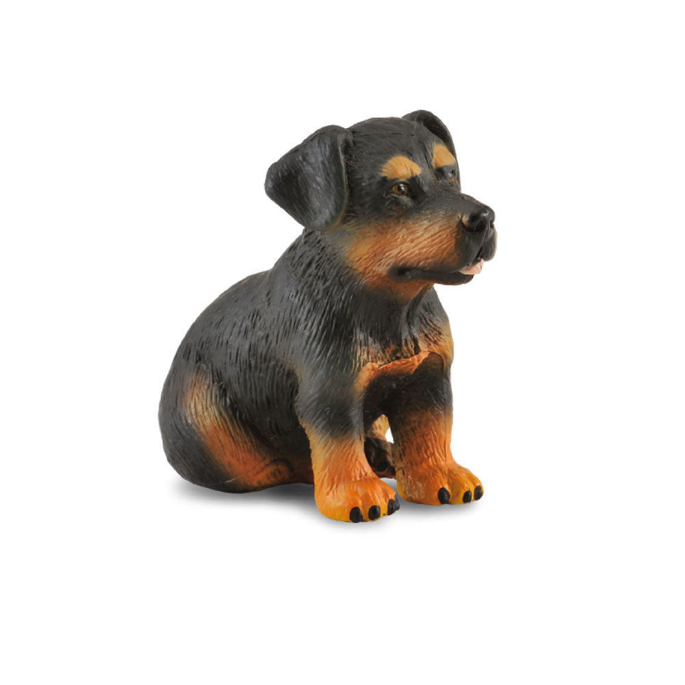 CollectA Rottweiler Puppy Figure (Small)