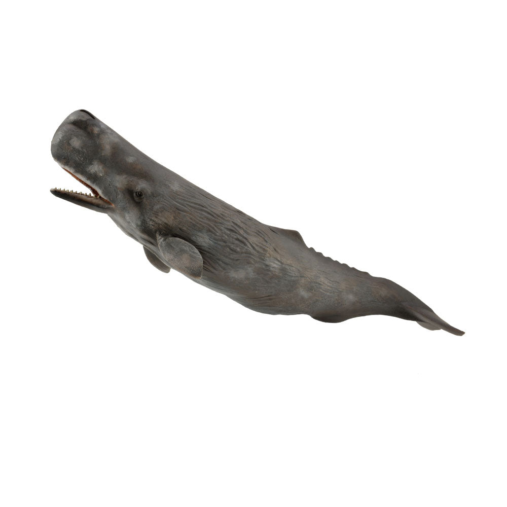 CollectA Sperm Whale Figure (Extra Large)