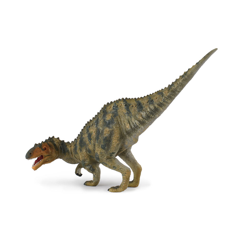 CollectA Afrovenator Dinosaur Figure (Large)