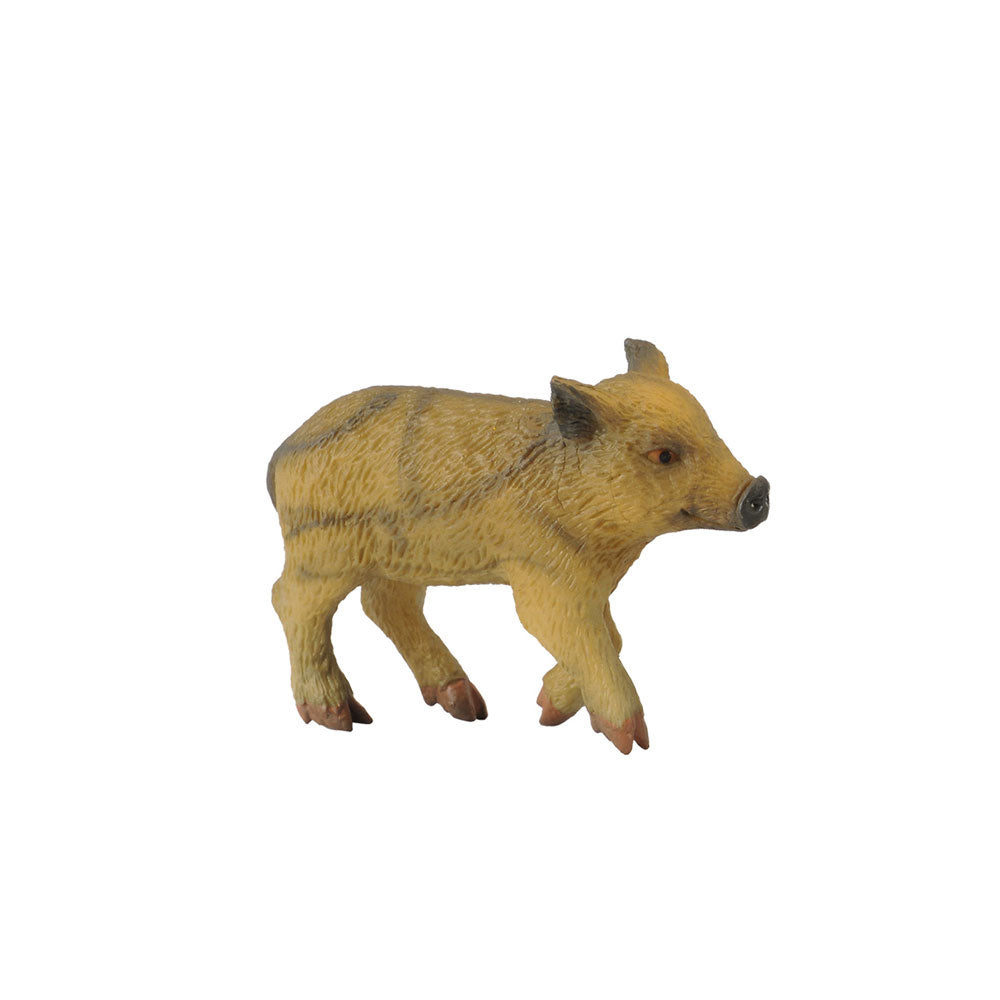 CollectA Wild Piglet Figure (Small)