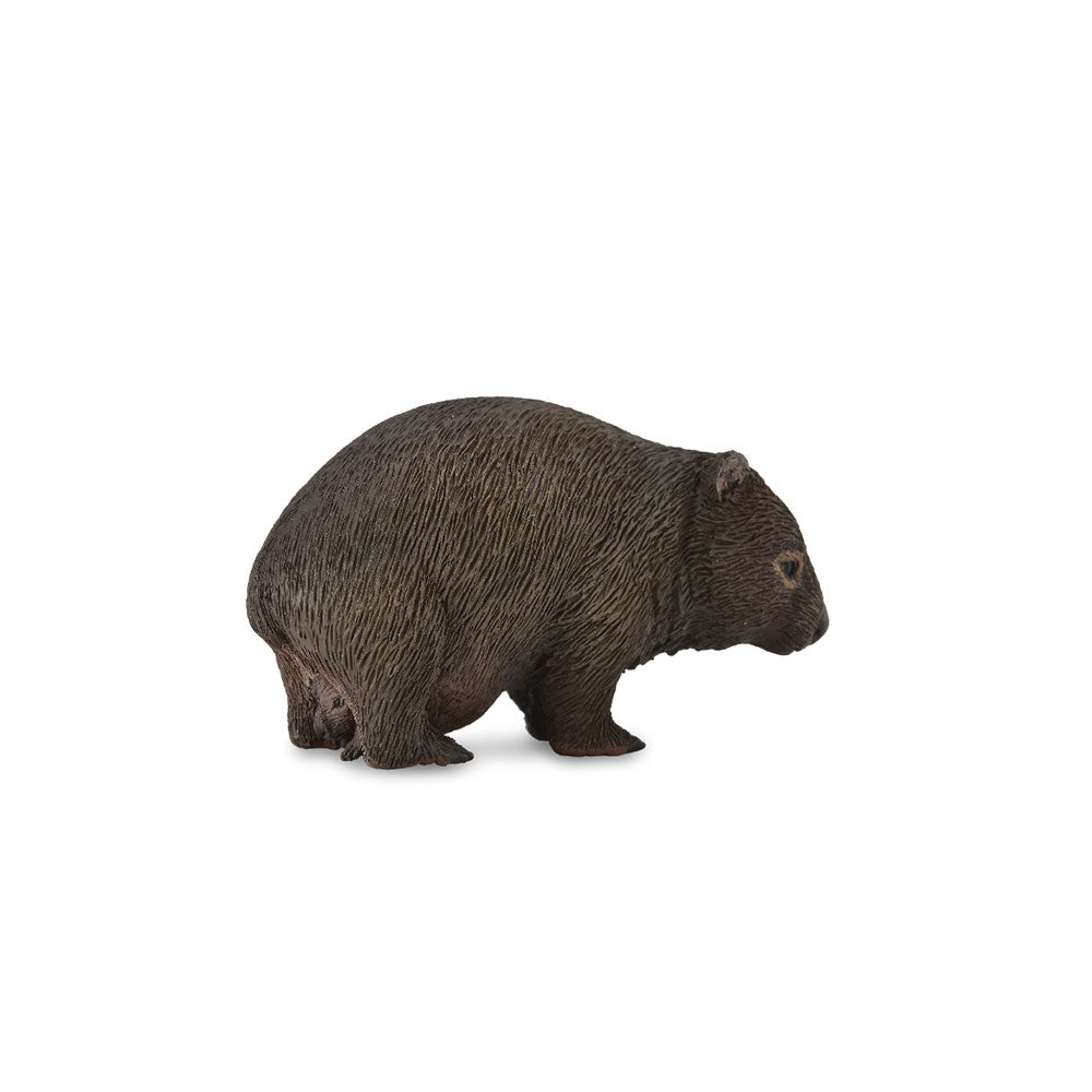 CollectA Wombat Figure (Medium)