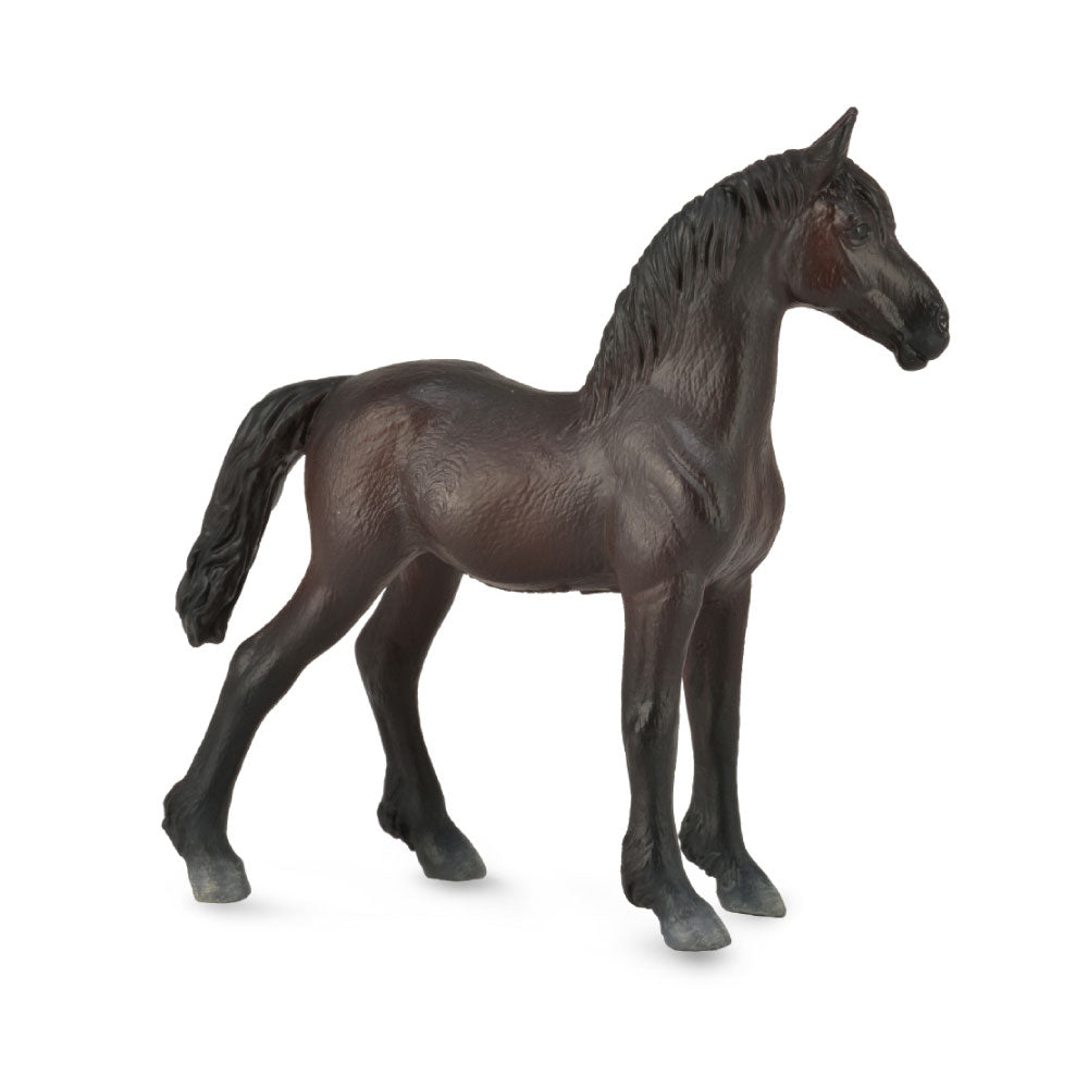 CollectA Black Friesian Foal Figure (Medium)