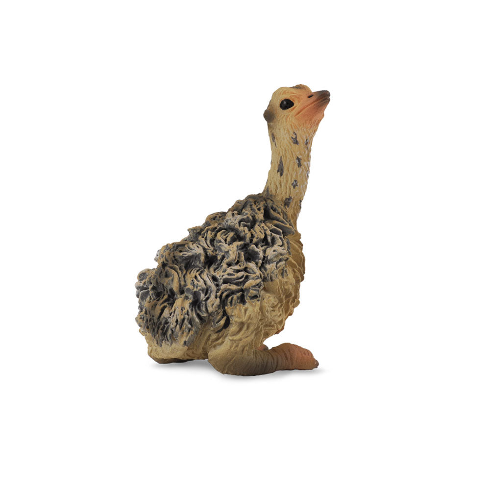 CollectA Sitting Ostrich Chick Figure (Small)