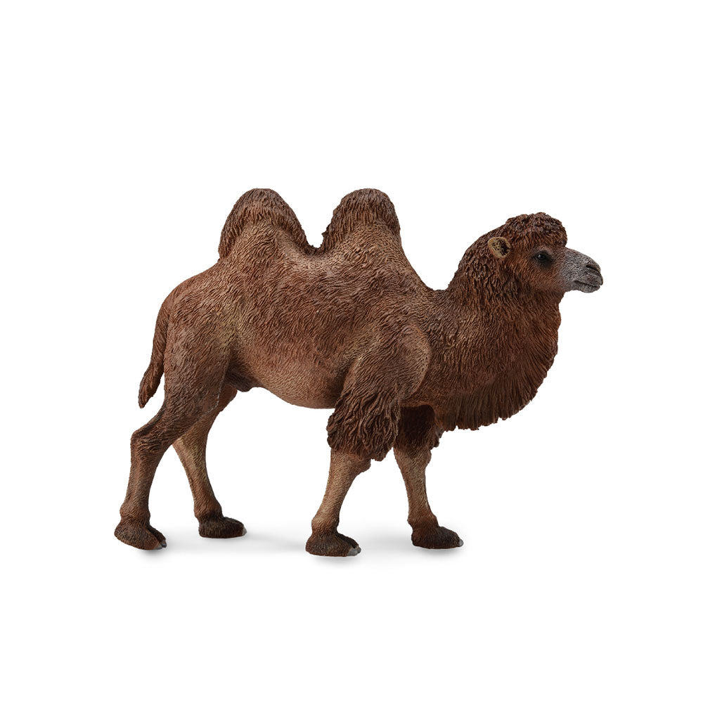 CollectA Bactrian Camel Figure (Large)