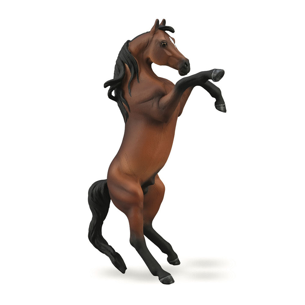 CollectA Rearing Arabian Stallion Bay Figure (Extra Large)