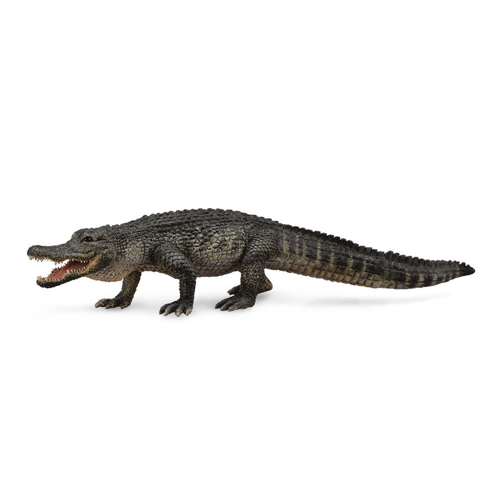 CollectA American Alligator Figure (Large)