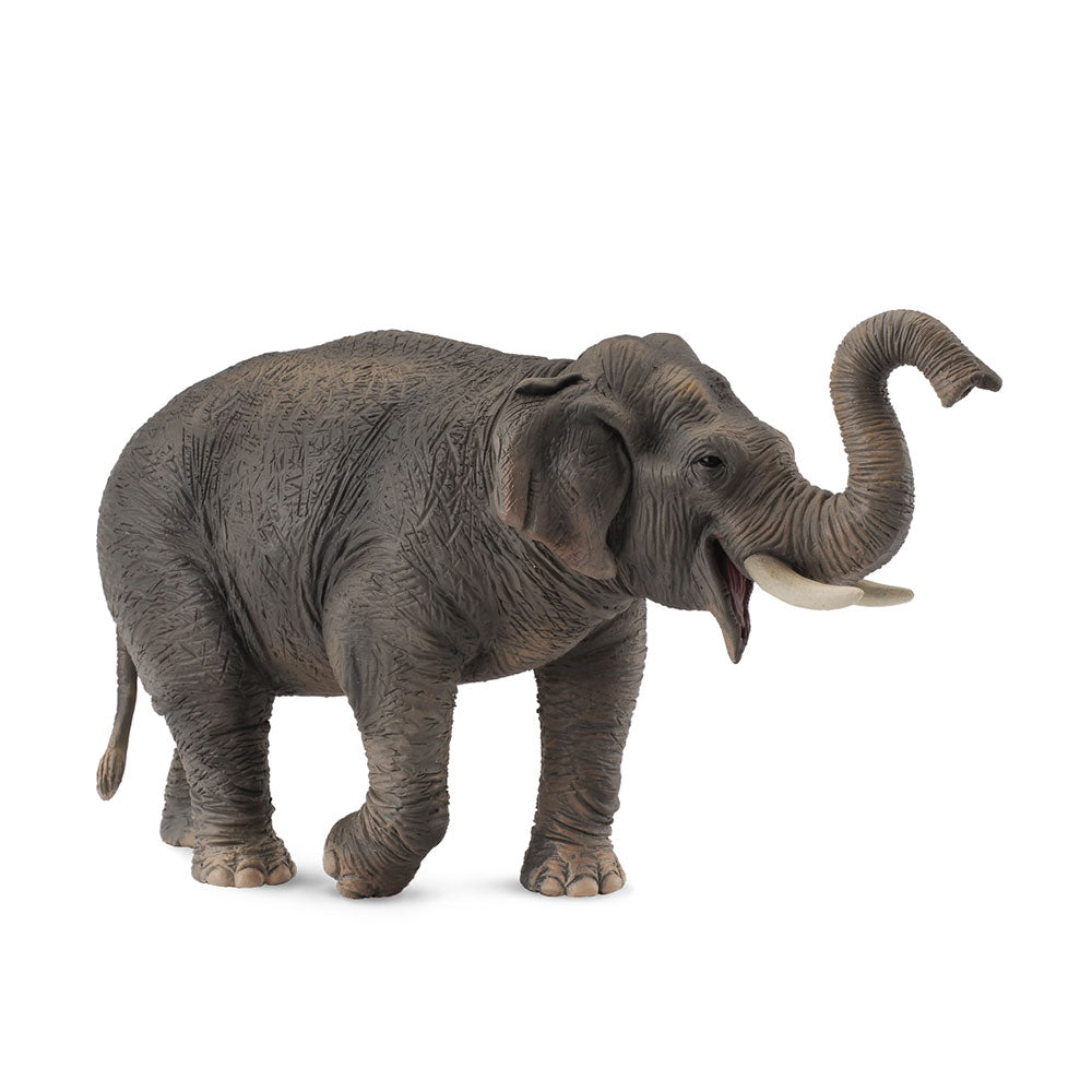 CollectA Asian Elephant Figure (Extra Large)