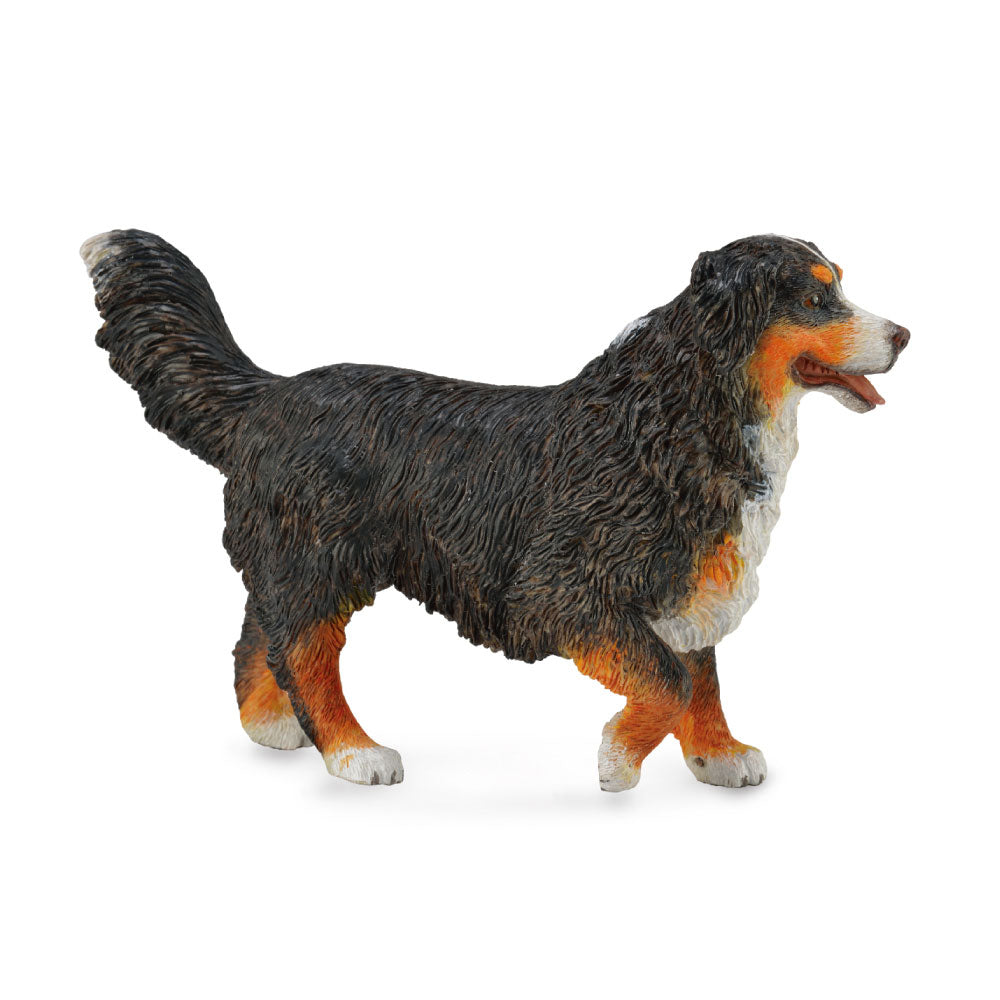 CollectA Bernese Mountain Dog Figure (Large)