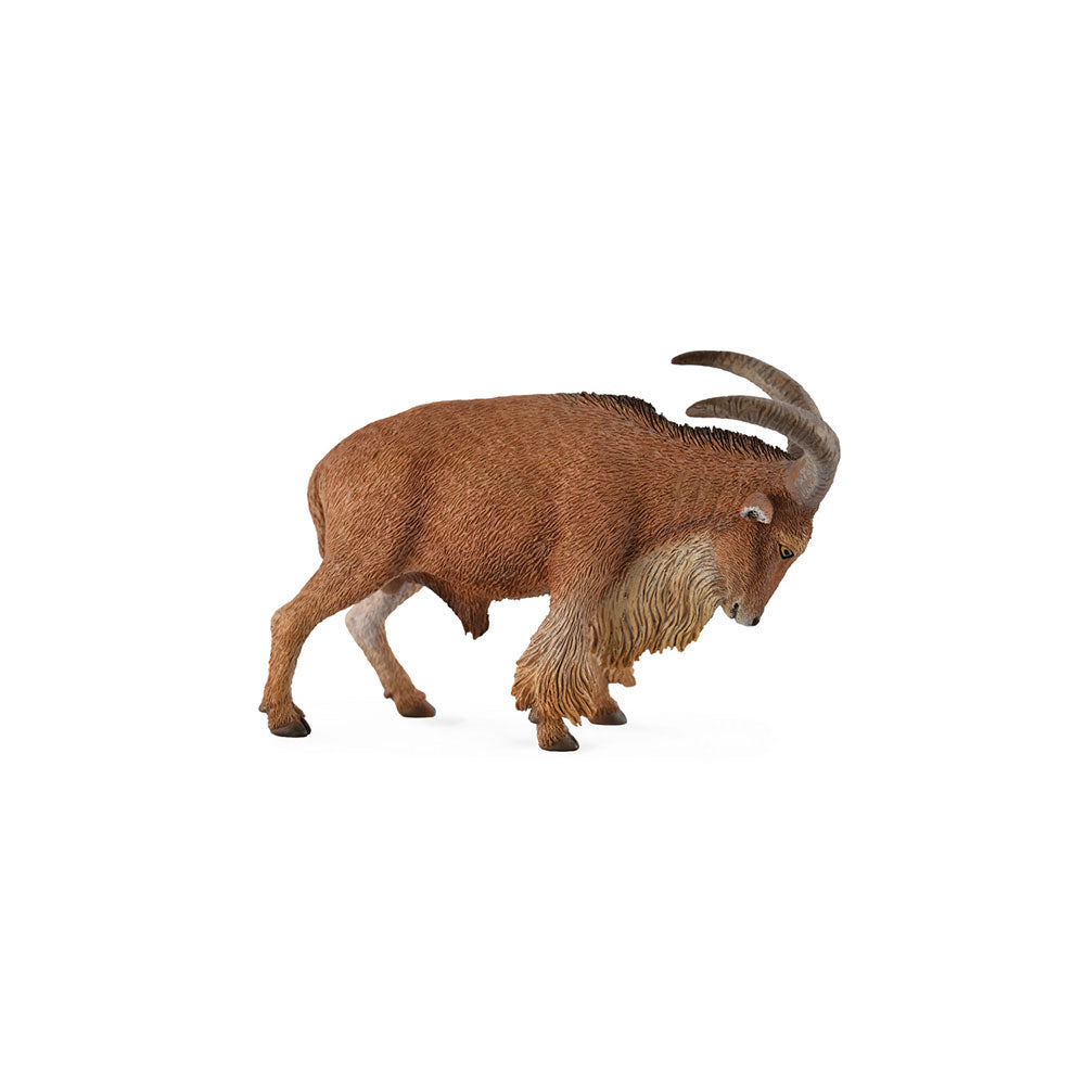 CollectA Barbary Sheep Figure (Large)
