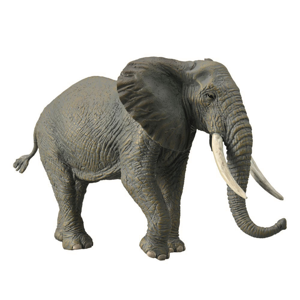 CollectA African Elephant Figure (Extra Large)