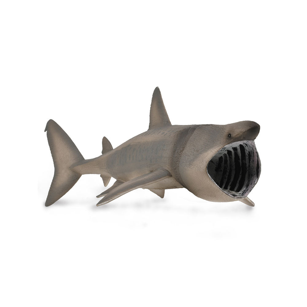 CollectA Basking Shark Figure (Extra Large)