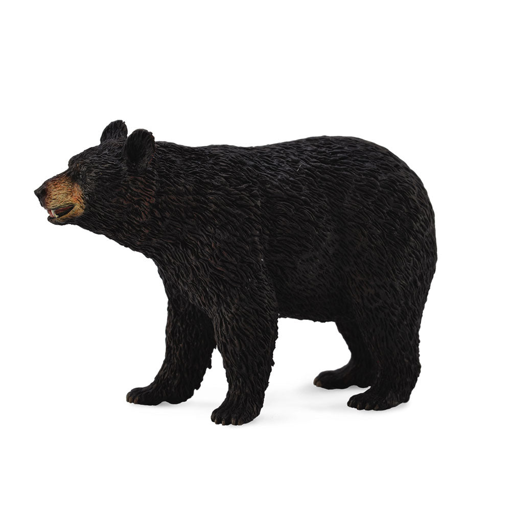 CollectA American Black Bear Figure (Large)