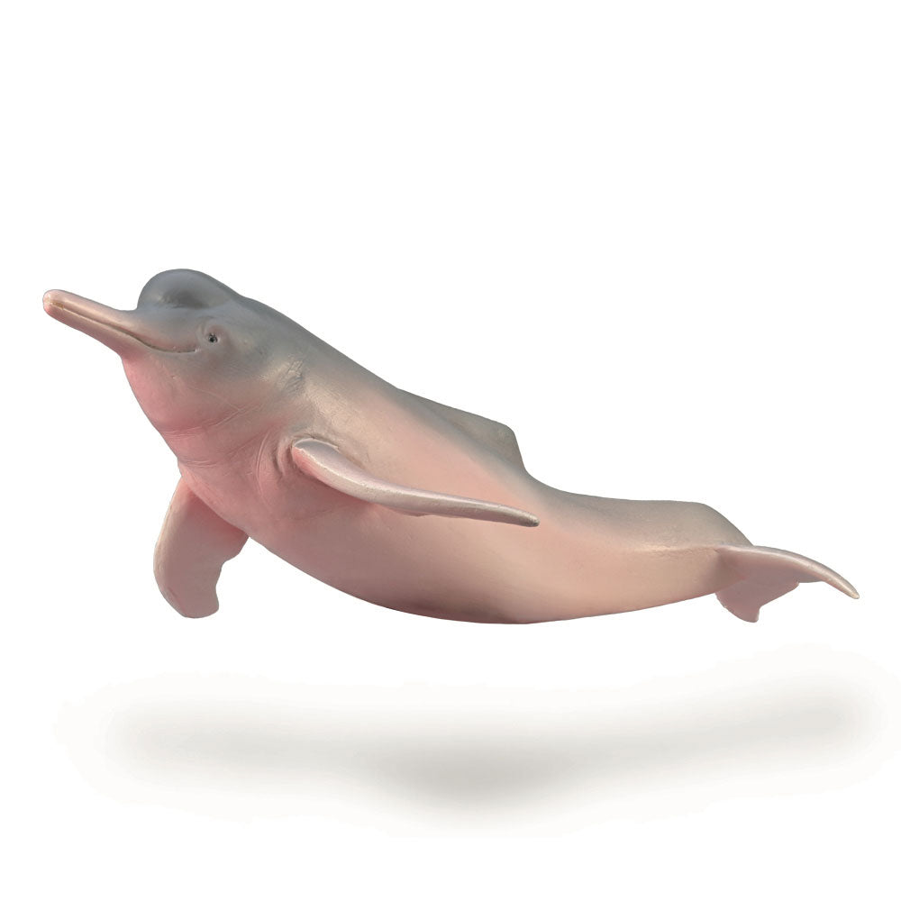CollectA Amazon River Dolphin Figure (Medium)