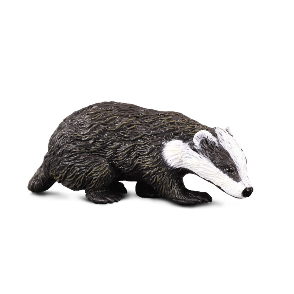 CollectA Eurasian Badger Figure (Small)