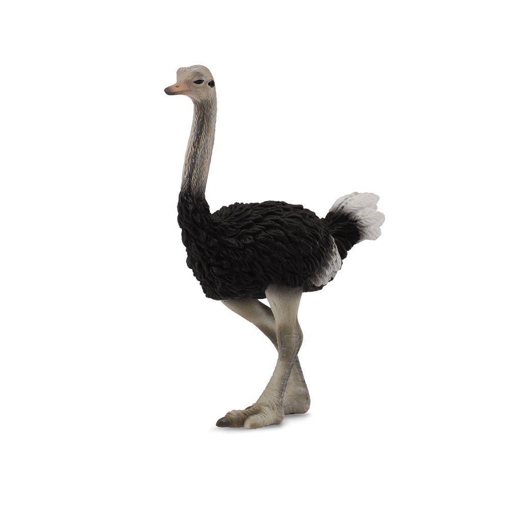 CollectA Ostrich Figure (Large)