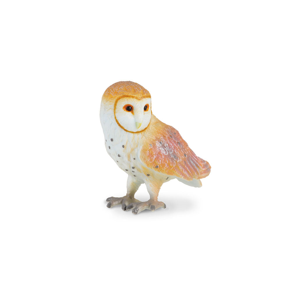 CollectA Barn Owl Figure (Small)