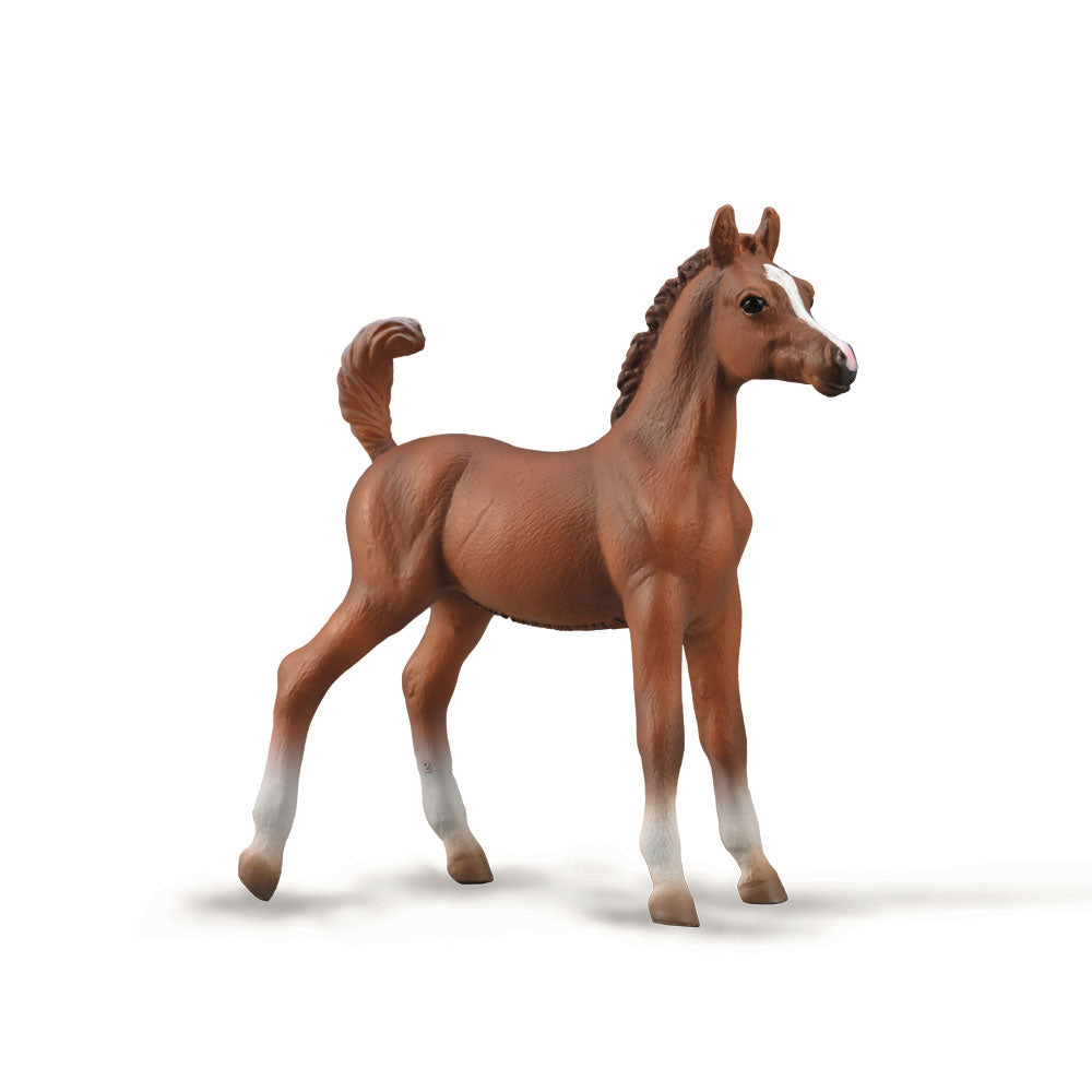 CollectA Arabian Foal Chestnut Figure (Medium)