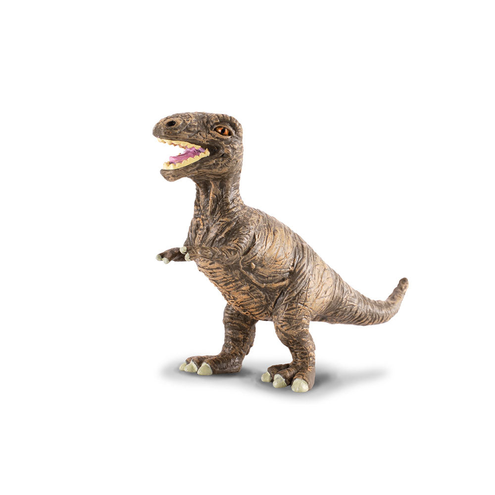 CollectA Baby Tyrannosaurus Rex Dinosaur Figure (Small)