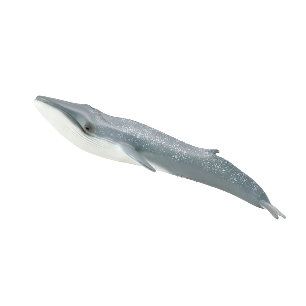 CollectA Blue Whale Figure (Extra Large)