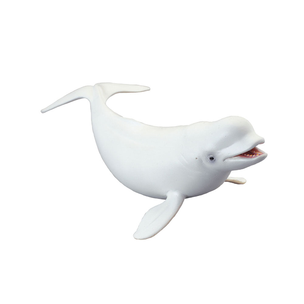 CollectA Beluga Whale Figure (Large)