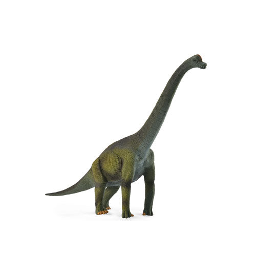 CollectA Brachiosaurus Dinosaur Figure