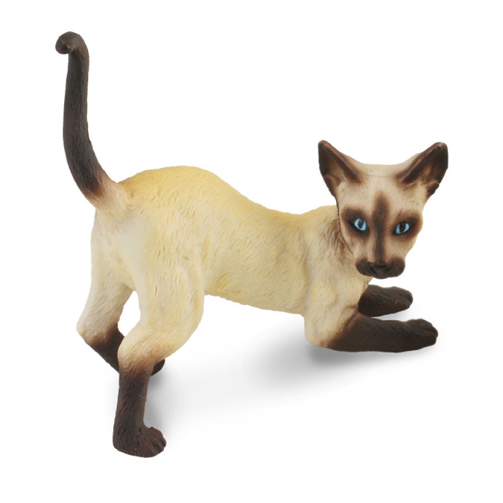CollectA Siamese Cat Stretching Figurine