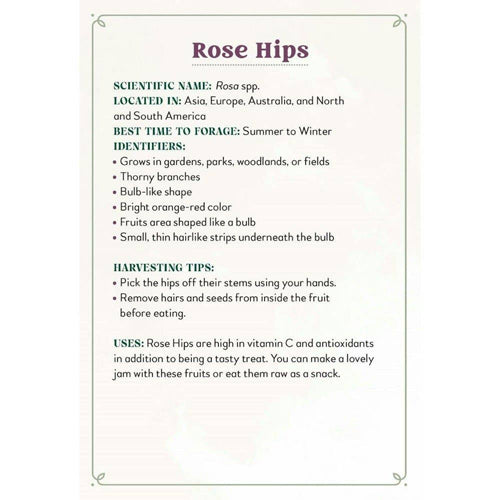 Enchanted Foraging Plant Identification Cards