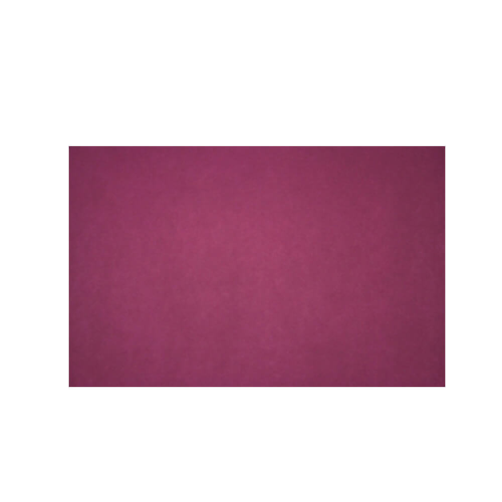 Quill Coloured Cardboard Paper 210gsm (Pack of 20)