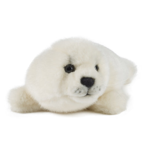 Living Nature Grey Seal Pup