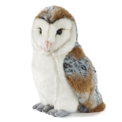 Living Nature Barn Owl