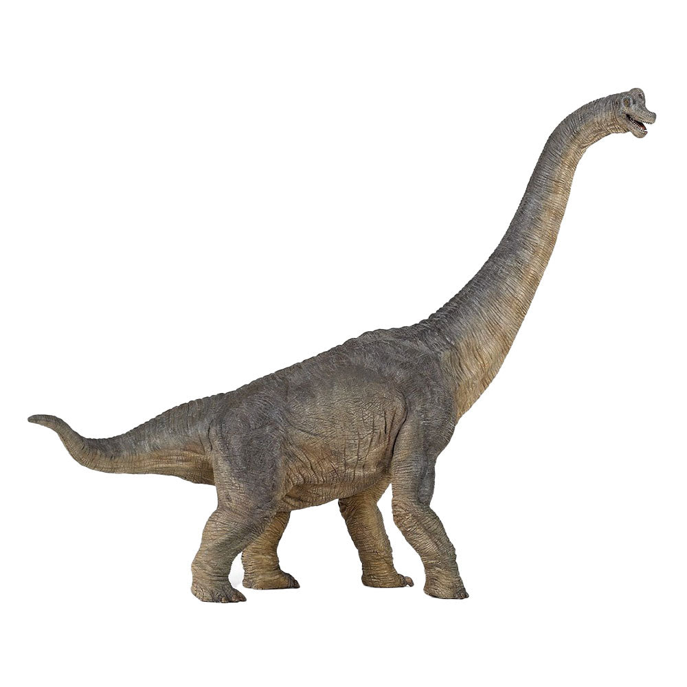 Papo Brachiosaurus Dinosaur Figurine