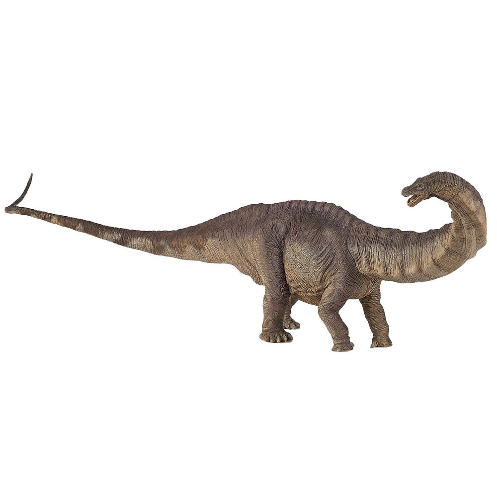 Papo Apatosaurus Dinosaur Figurine