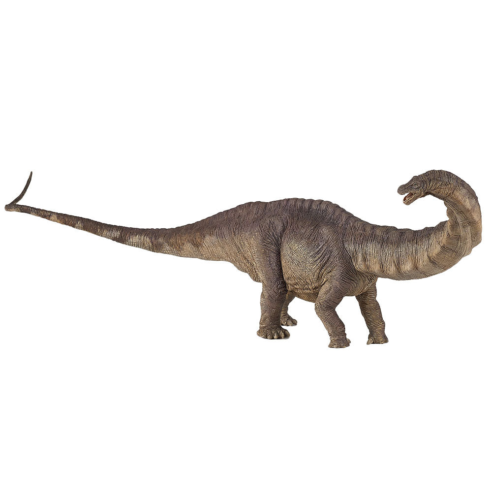 Papo Apatosaurus Dinosaur Figurine