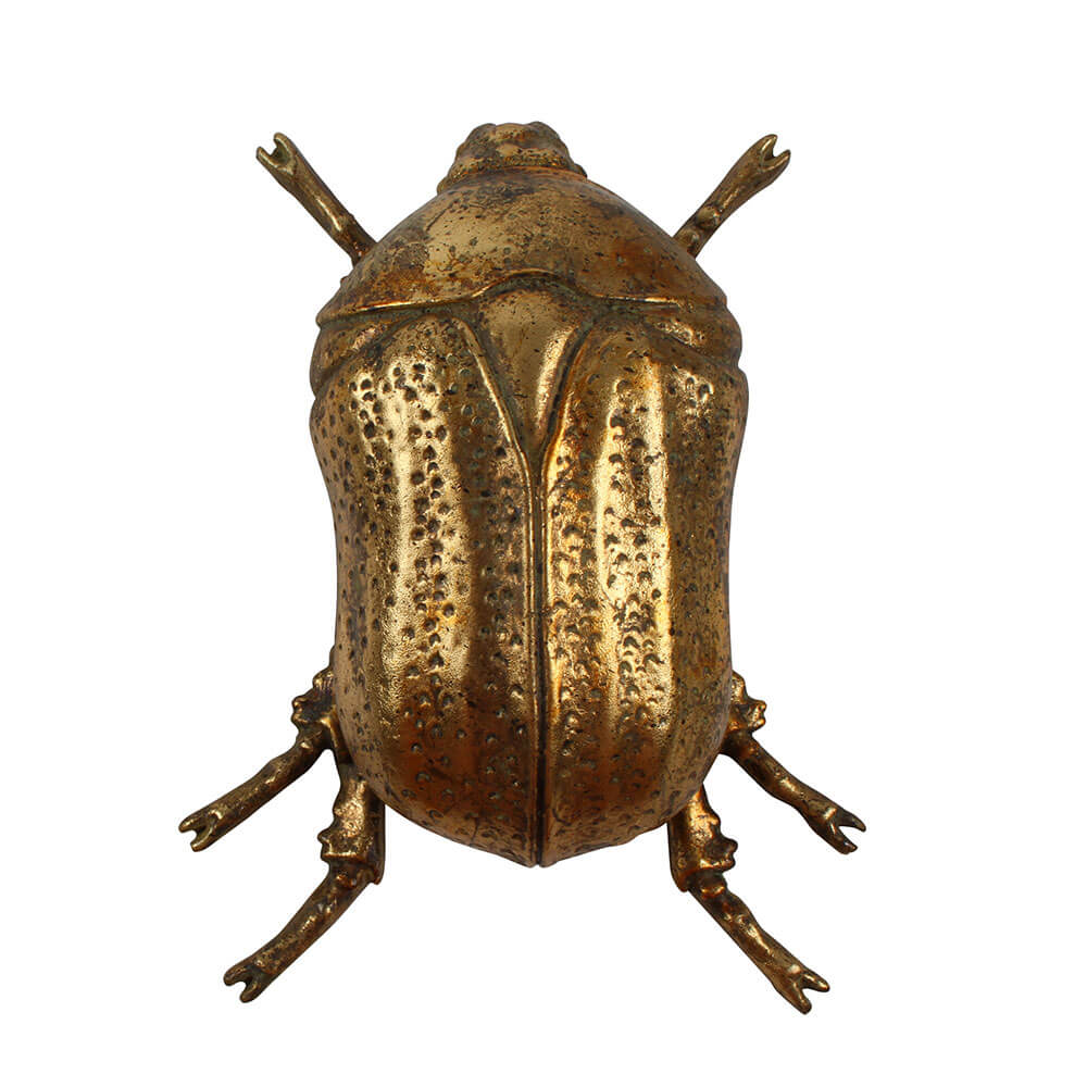 Jay Beetle Resin (13x10x5cm)