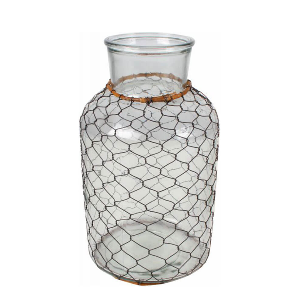 Sia Glass Vase with Wire